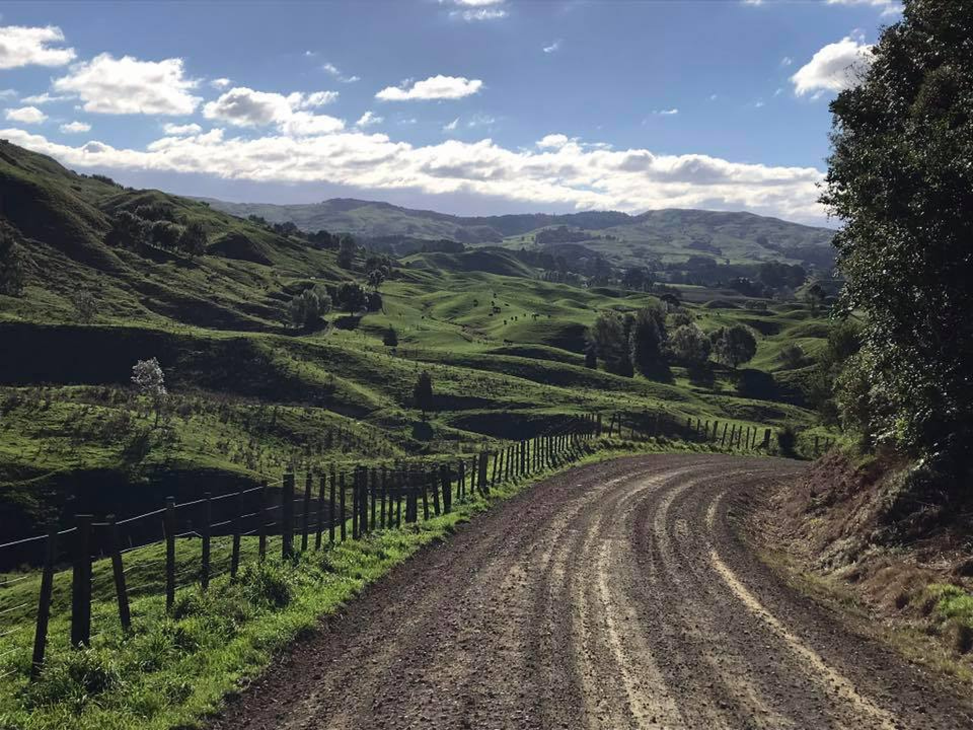 Whatatutu and Matawai Tairawhiti Gisborne, NZ