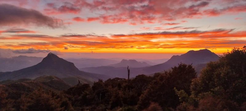 Maunga Hikurangi Te Urunga Tu Sunrise Tour