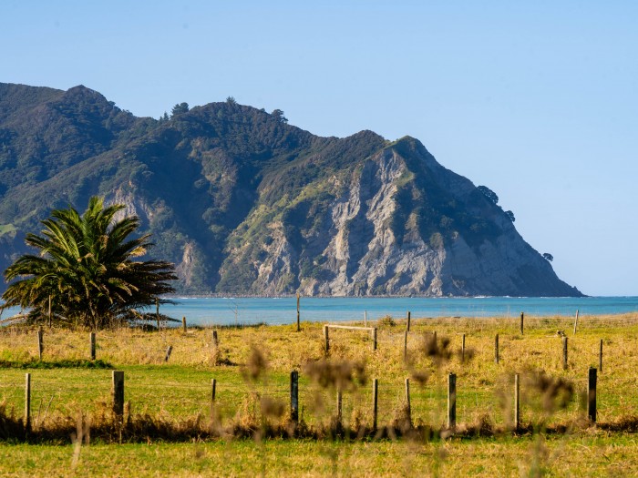 Tokomaru Bay Camping