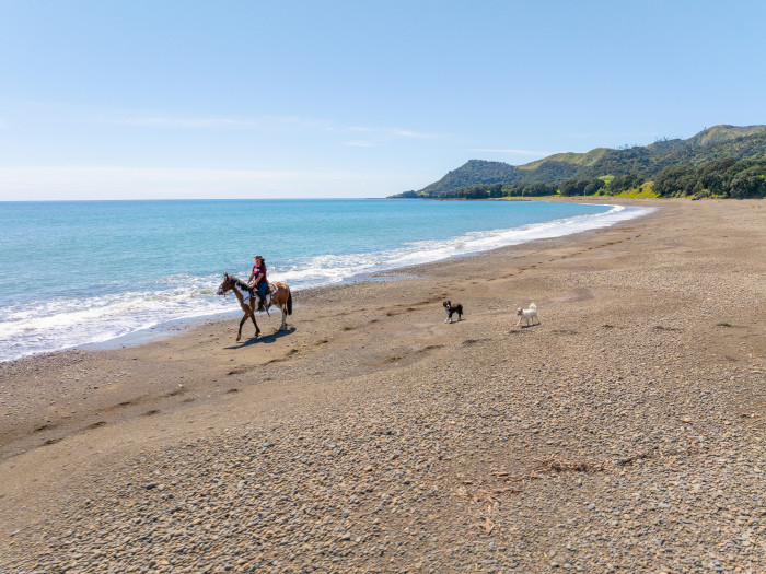 Standfast Horse Treks