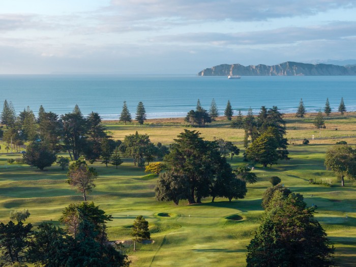Awapuni Links