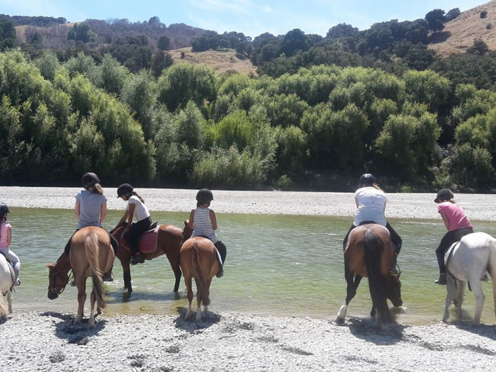 Riverview Treks & Pinehollow Riding School 