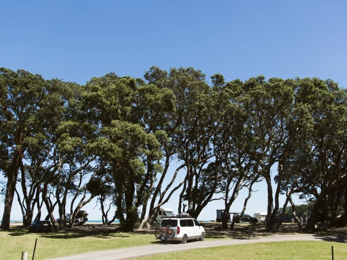 Maraehako Campground