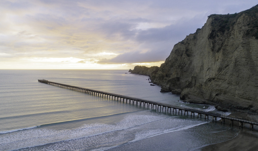 Tolaga Bay Wharf 1